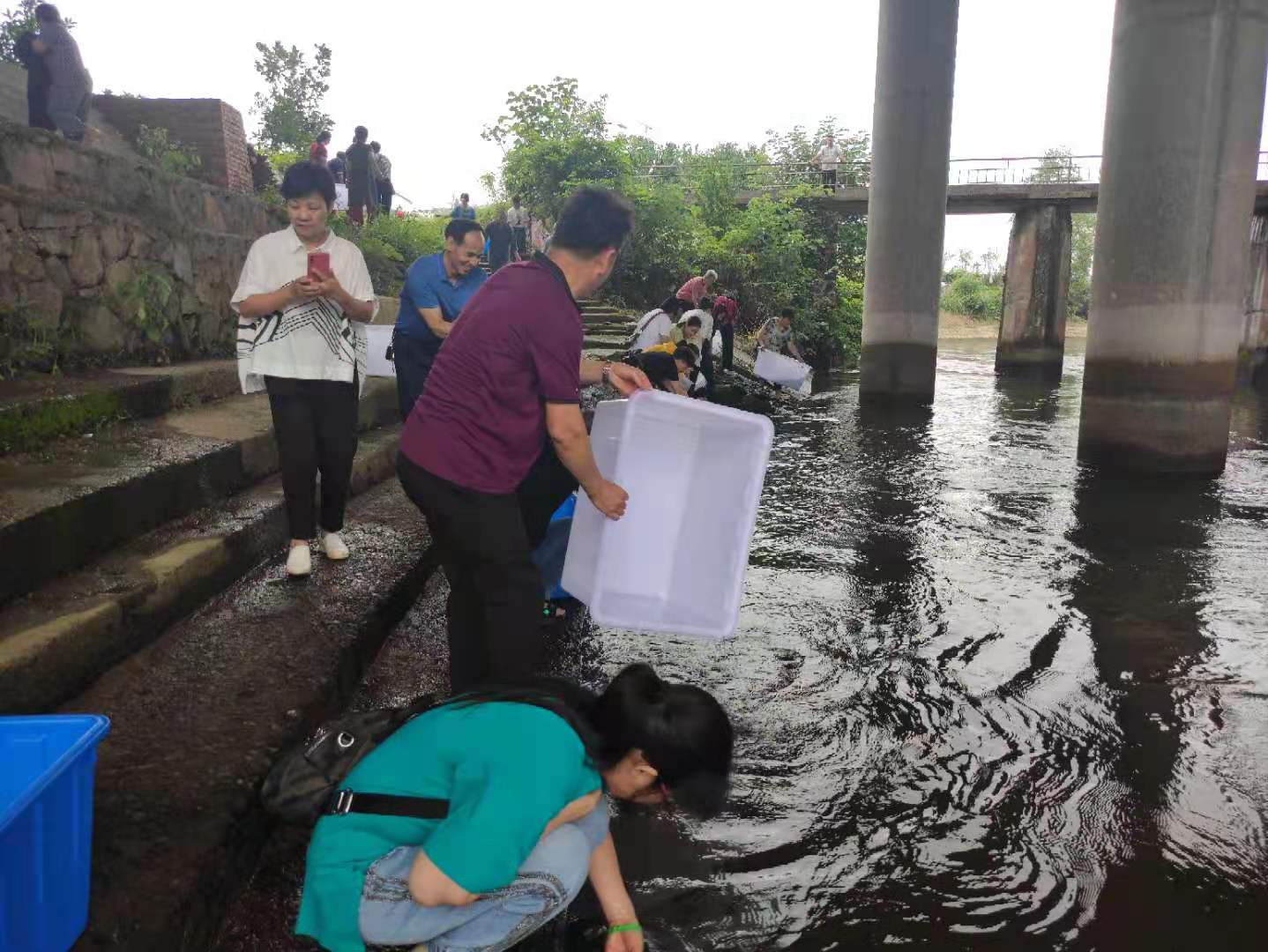 天游ty8线路检测中心6月24日放生法会圆满